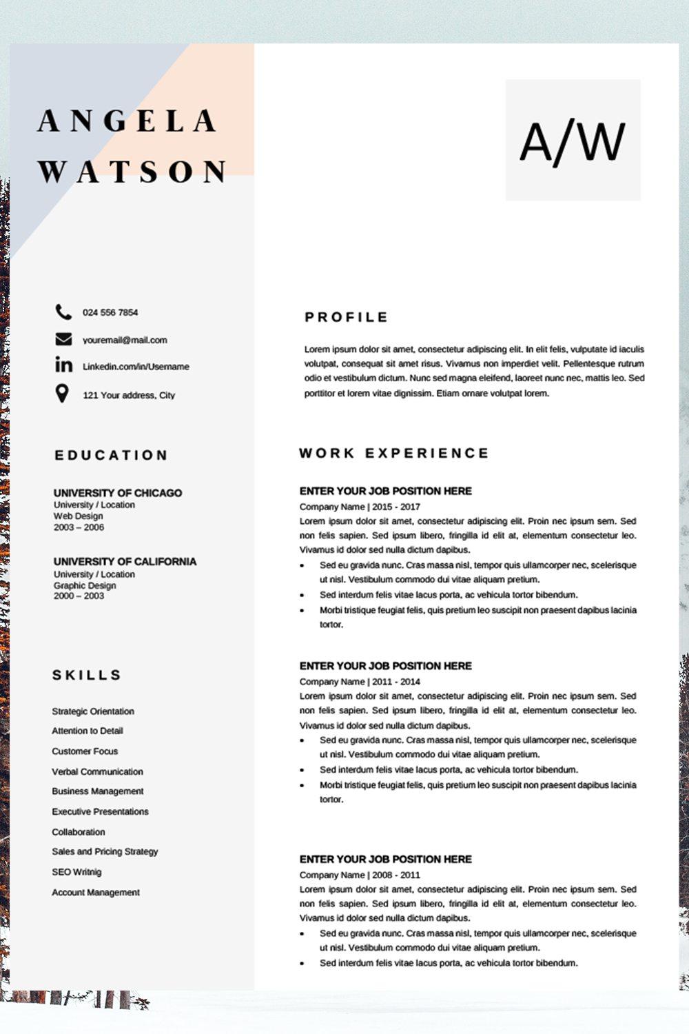 professional cv template word resume template instant etsy cv template professional best cv template cv template word microsoft word resume maker on professional cv template word resume template instant etsy cv template professional best cv template cv template word
