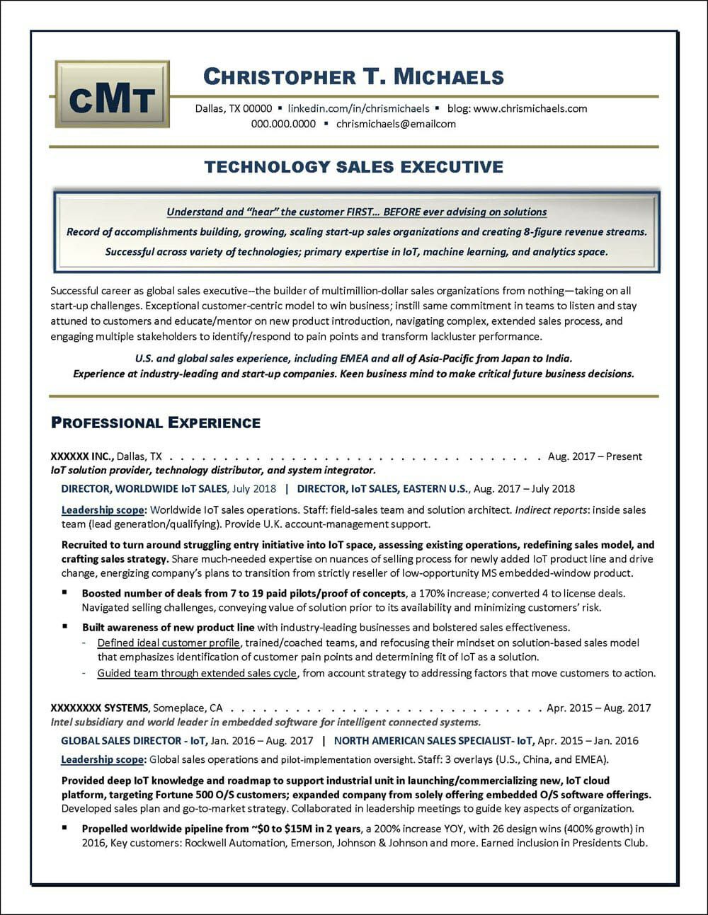 sales executive resume sample on technology sales executive resume distinctive career services executive resume job resume examples resume